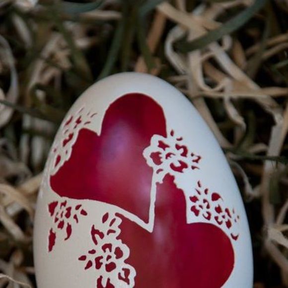 Meet your Posher, Boyds - Picture 1 of 1